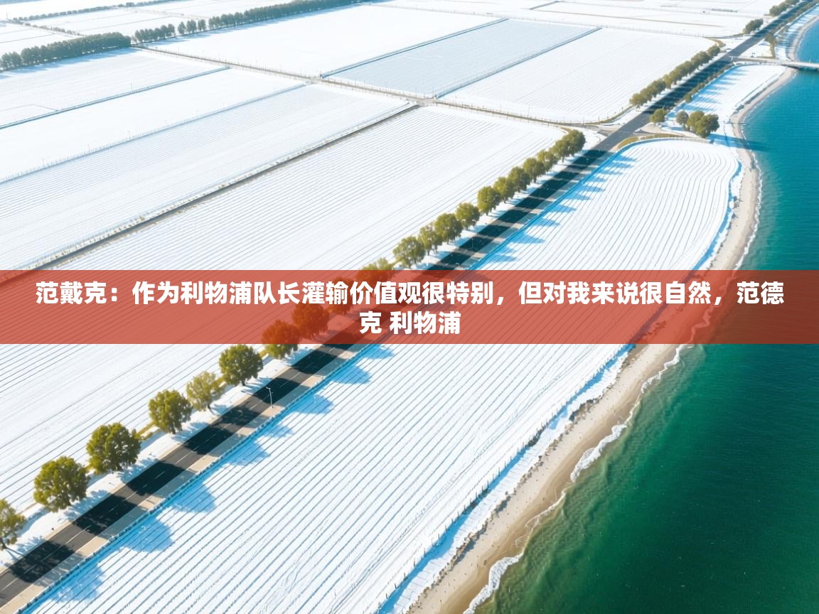 开运体育登录入口-范戴克：作为利物浦队长灌输价值观很特别，但对我来说很自然，范德克 利物浦  第1张