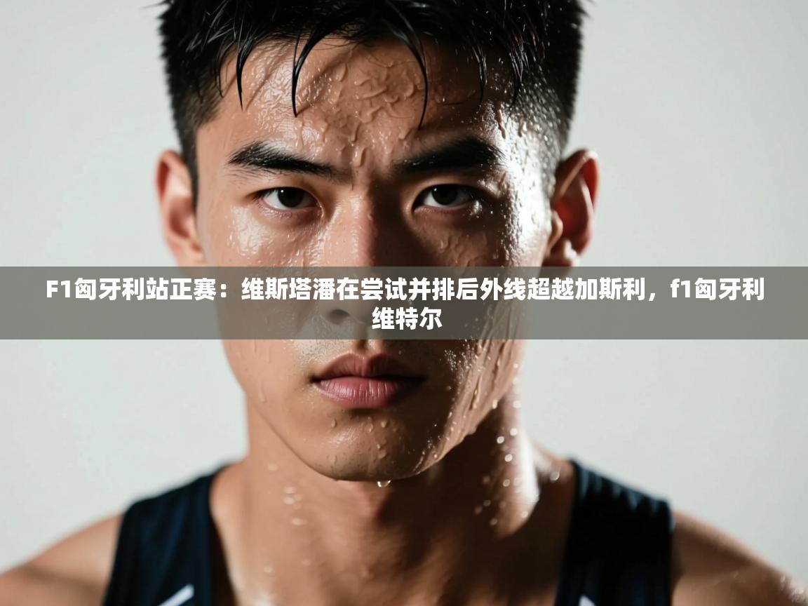 开云体育入口网址-F1匈牙利站正赛:维斯塔潘在尝试并排后外线超越加斯利,f1匈牙利 维特尔 第2张