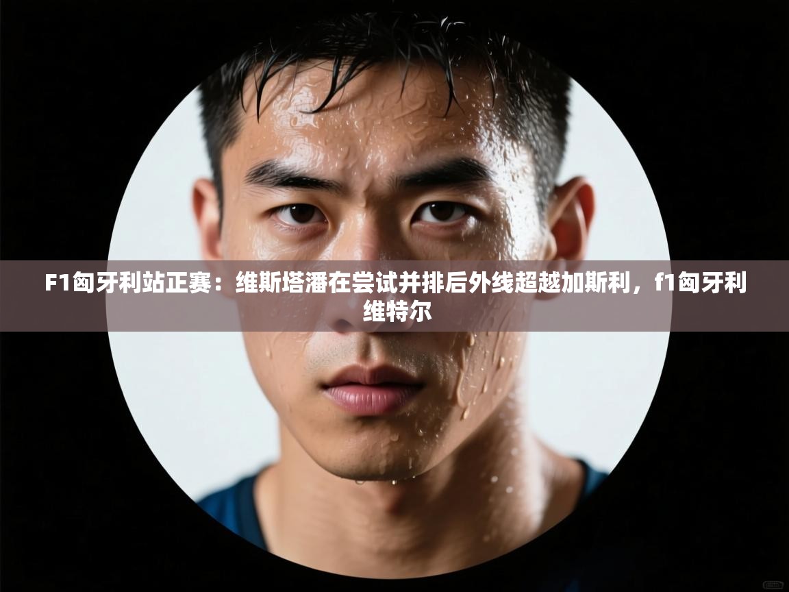 开云体育入口网址-F1匈牙利站正赛:维斯塔潘在尝试并排后外线超越加斯利,f1匈牙利 维特尔 第3张