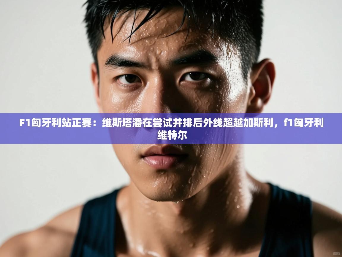 开云体育入口网址-F1匈牙利站正赛:维斯塔潘在尝试并排后外线超越加斯利,f1匈牙利 维特尔 第4张