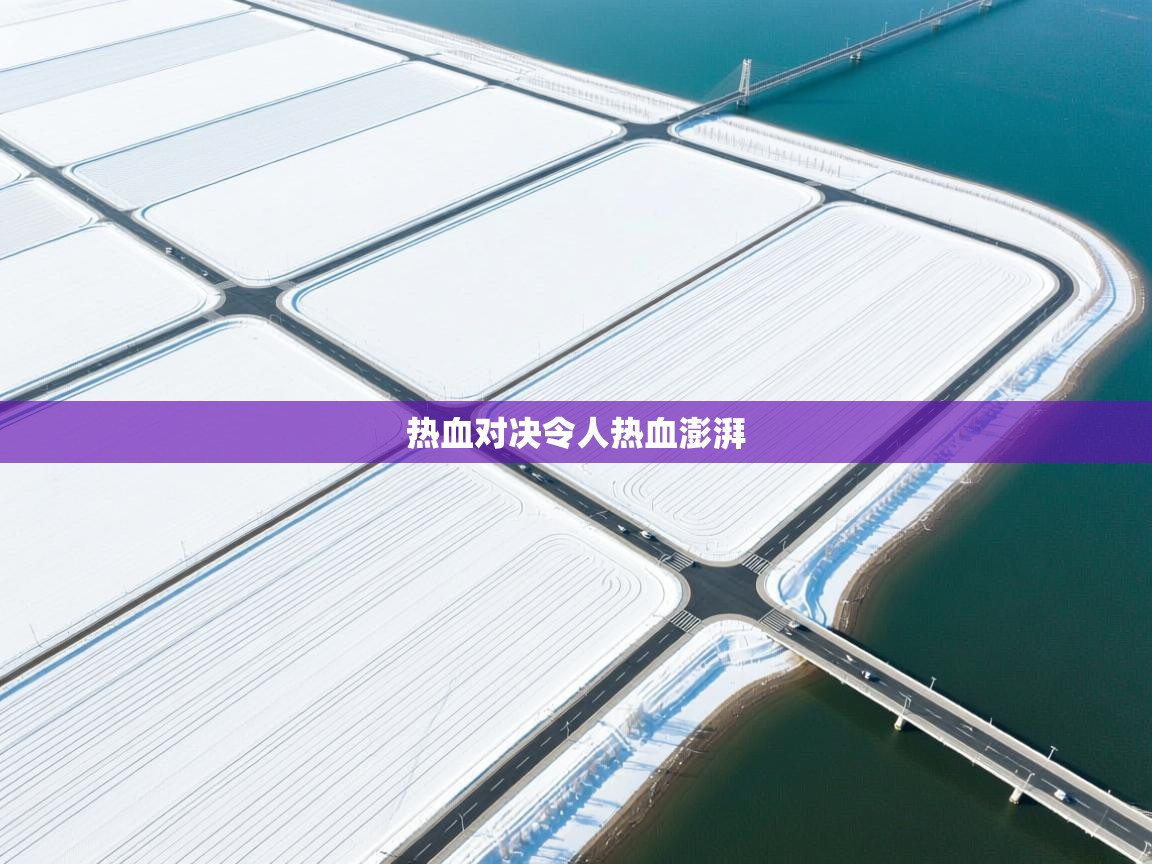 开云体育安卓APK下载-热血对决令人热血澎湃  第2张