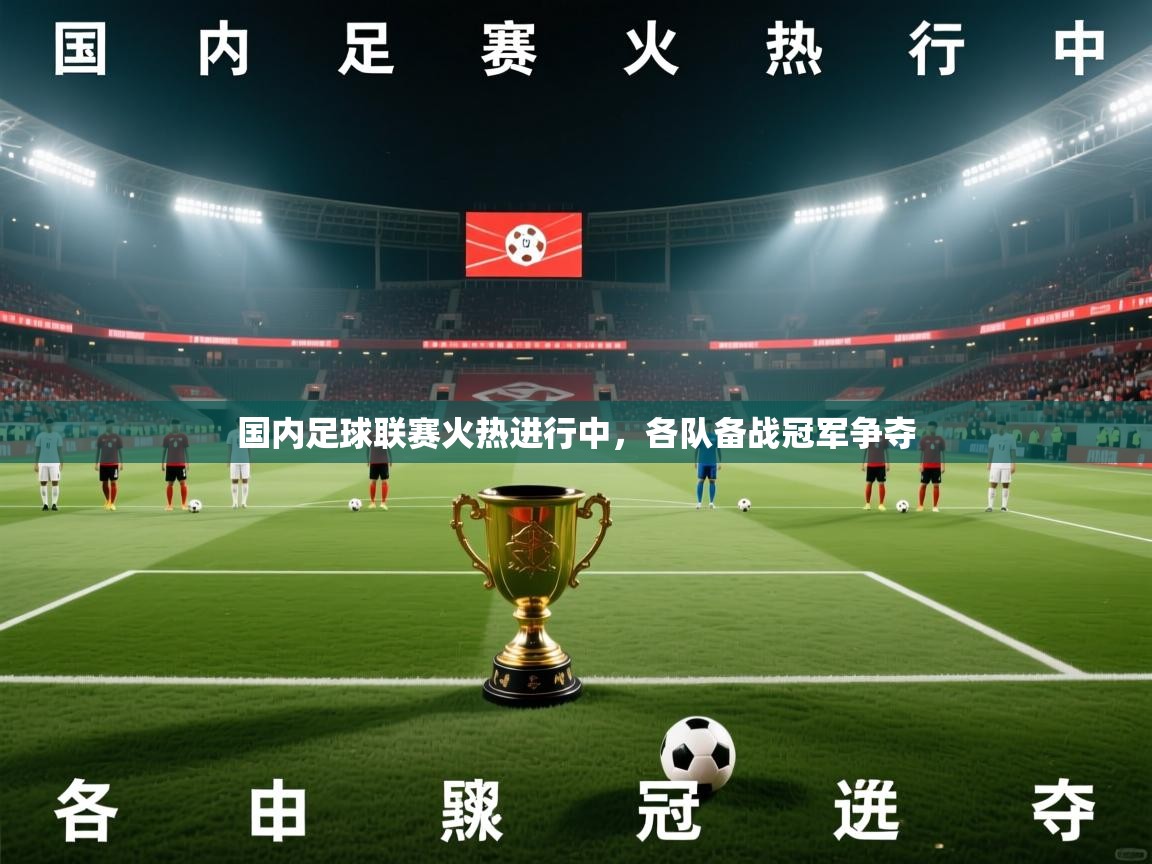 kaiyun sports-国内足球联赛火热进行中，各队备战冠军争夺  第1张