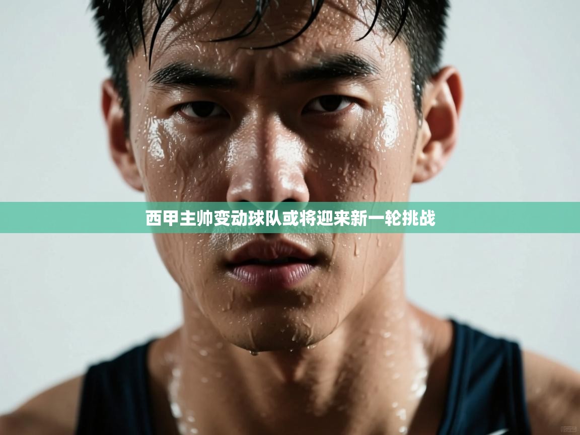 开云体育绑定手机指南-西甲主帅变动球队或将迎来新一轮挑战 第3张