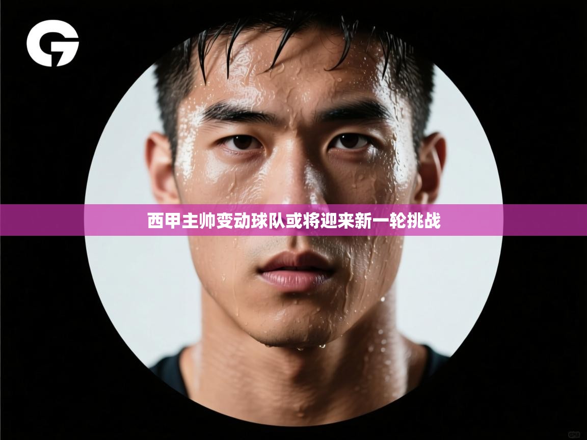 开云体育绑定手机指南-西甲主帅变动球队或将迎来新一轮挑战 第4张