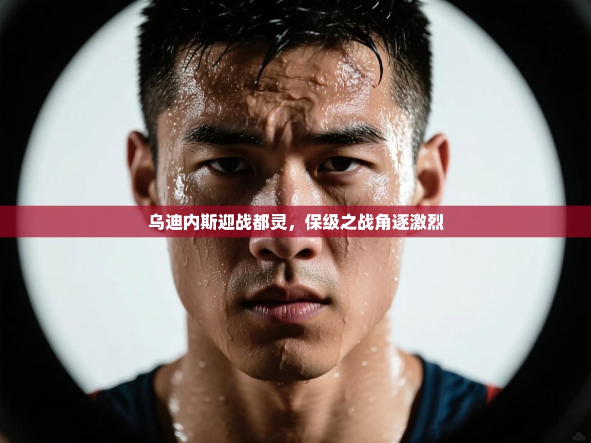 开云体育PC版网页版登录-乌迪内斯迎战都灵，保级之战角逐激烈  第1张