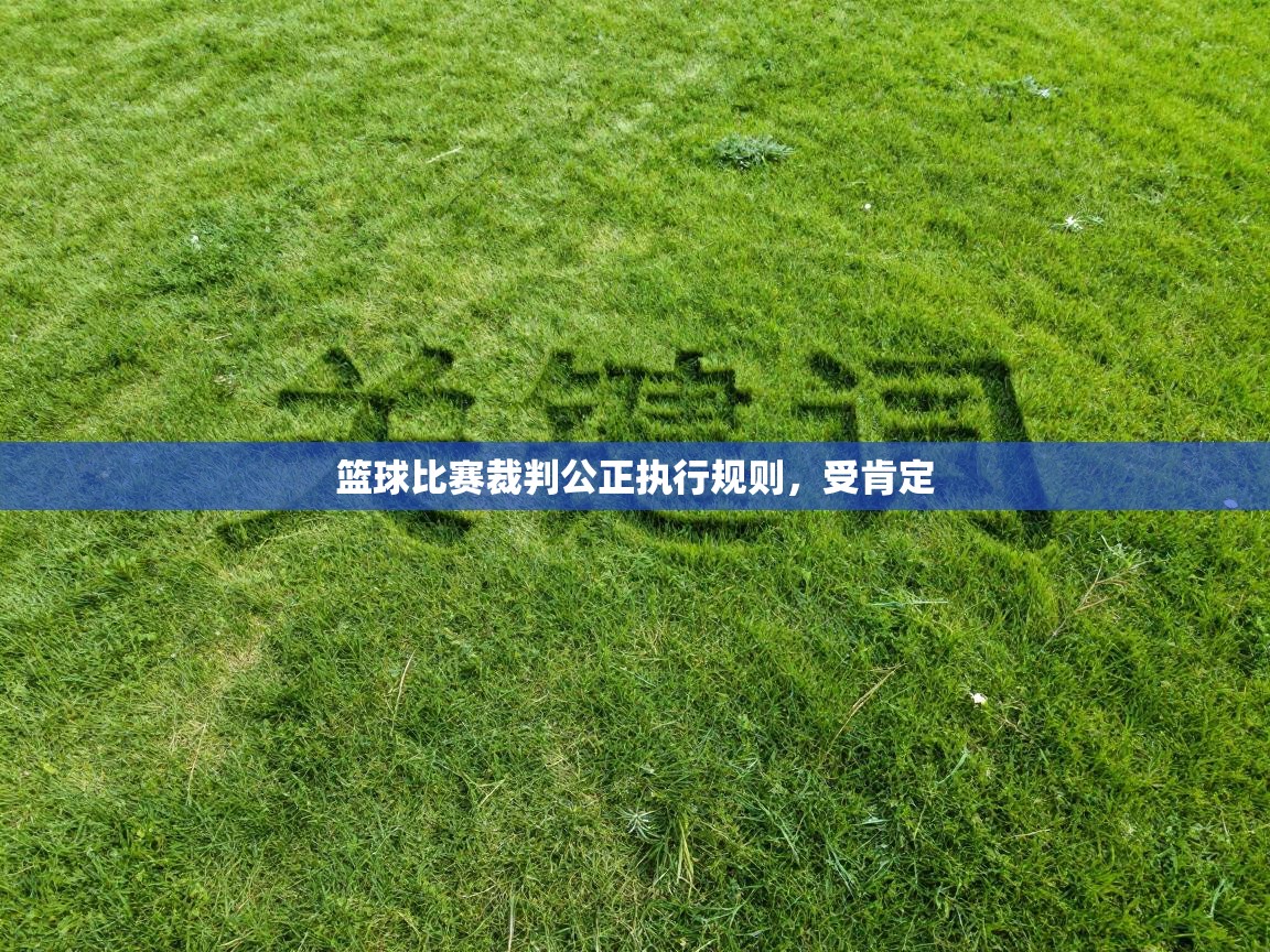 云开体育入口-篮球比赛裁判公正执行规则,受肯定 第4张