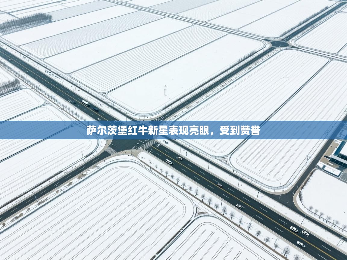 云开体育官网登录入口-萨尔茨堡红牛新星表现亮眼，受到赞誉  第2张