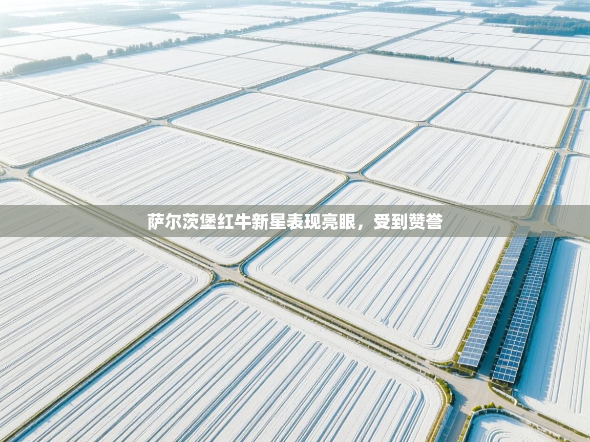 云开体育官网登录入口-萨尔茨堡红牛新星表现亮眼，受到赞誉  第3张