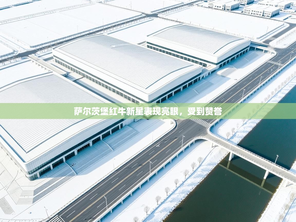 云开体育官网登录入口-萨尔茨堡红牛新星表现亮眼，受到赞誉  第4张